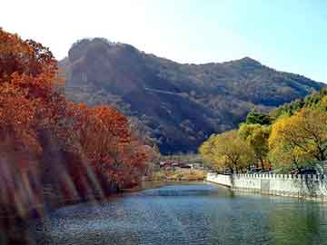 正版澳门天天开彩大全，国产耐磨板